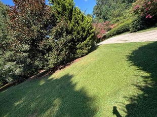 Charles B.'s lawn care services service result