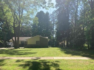 Elias Z.'s turf care service result