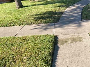 Tyler H.'s lawn service service result