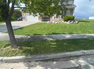 Jeremy F.'s grass maintenance service result