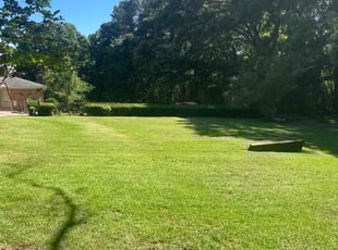 Paul C.'s lawn maintenance service result