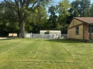 Mark T.'s turf care service result