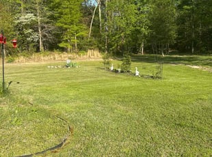 Rob D.'s lawn service service result