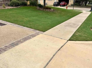Colleen D.'s grass cutting service result