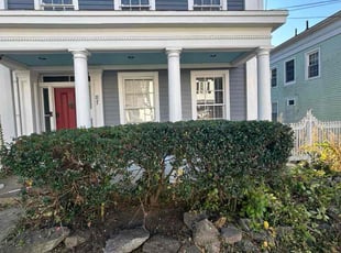 Ryan C.'s Bush Trimming service result