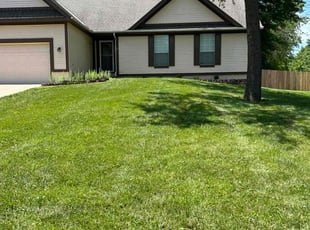 Shelby M.'s lawn care service result