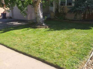 Rebecca S.'s grass cutting service result