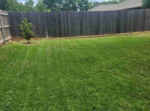 Barbara W.'s lawn service service result