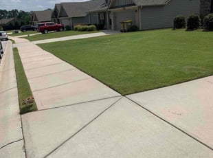 Luke W.'s lawn care services service result