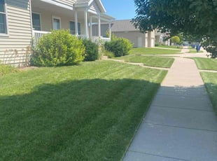 Ted R.'s lawn service service result