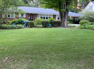 Ryan P.'s grass cutting service result