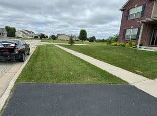 Judy A.'s turf care service result