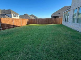 Lisa R.'s turf care service result