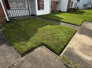 Jerome K.'s grass cutting service result