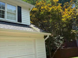 Jonathan H.'s Tree Trimming service result