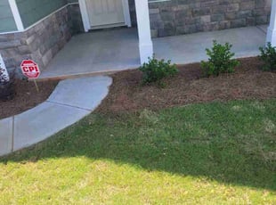 Dale C.'s lawn care service result