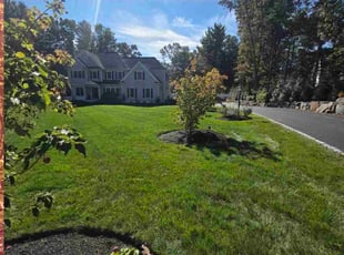 Lida H.'s grass cutting service result