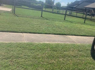 Danielle M.'s grass cutting service result