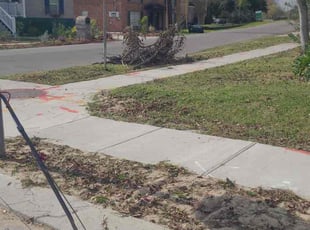 Tim G.'s grass maintenance service result