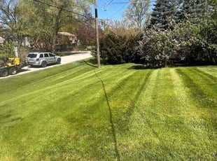 Payman F.'s lawn service service result