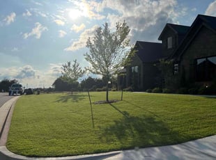 Amber T.'s lawn service service result