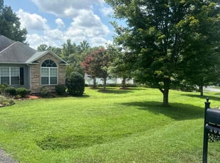 Marcella B.'s lawn care service result