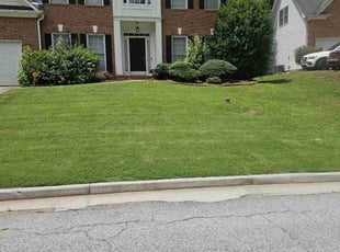 Percell H.'s grass maintenance service result