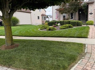 Carnigee T.'s turf care service result
