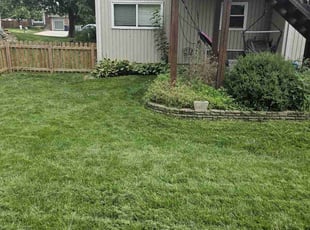 Erin S.'s turf maintenance service result