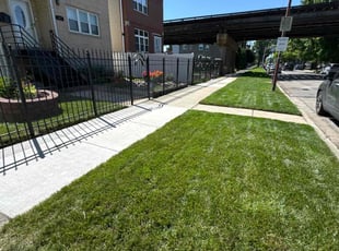 Renee E.'s lawn service service result