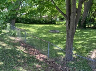 Iesha W.'s lawn care service result