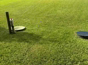 Dan H.'s turf maintenance service result
