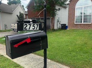 Scott S.'s yard care service result
