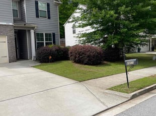 Skip B.'s grass cutting service result