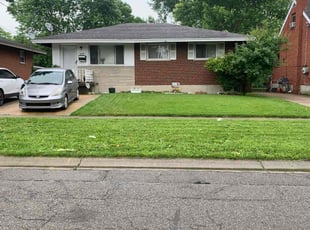 Lazar H.'s turf care service result