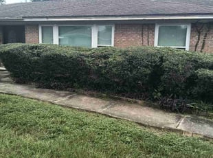 Linwood S.'s Bush Trimming service result