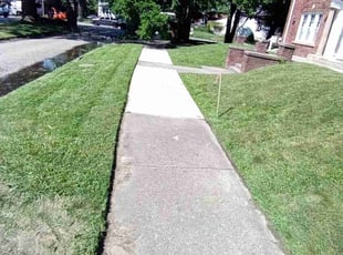 Kathryn B.'s lawn care services service result