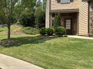 Anthony G.'s lawn care service result