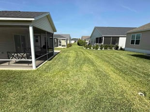 Steven T.'s lawn service service result