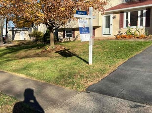 Pamela T.'s Leaf Removal service result