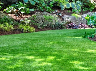 Susan C.'s Leaf Removal service result