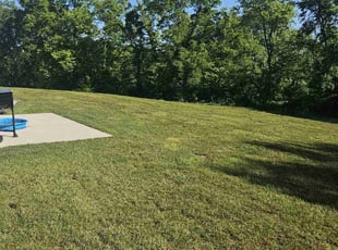 Dayton W.'s grass cutting service result