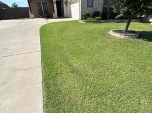 Sandra R.'s grass maintenance service result