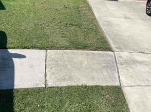 Teresa B.'s lawn care service result