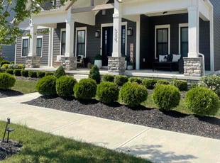 Karen S.'s grass maintenance service result