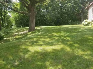 Brianna W.'s turf care service result