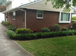 Sharon M.'s Bush Trimming service result