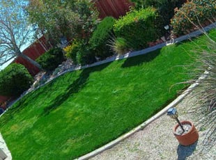 Dona W.'s lawn care services service result