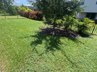 Steven W.'s turf maintenance service result