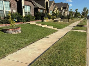 Michael G.'s lawn maintenance service result